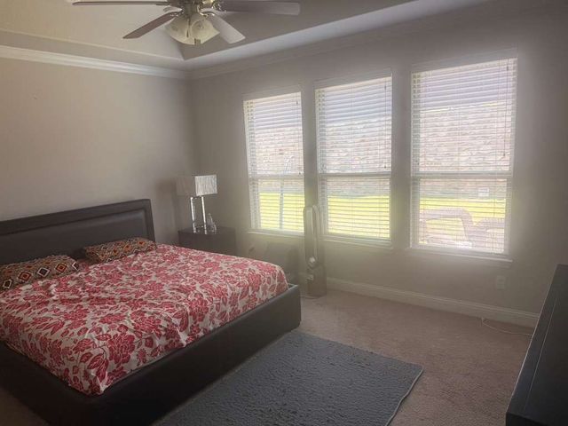 1519 Bedstraw Lane, Frisco, TX 75033