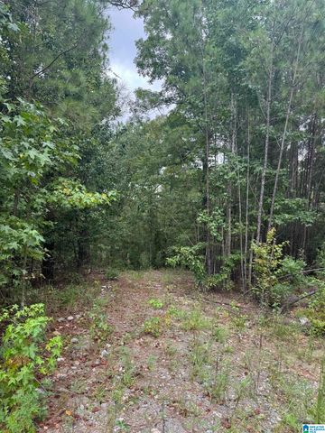 SHORE SIDE LANE, Sylacauga, AL 35151