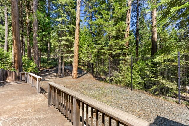 19280 Woodridge Dr, Pioneer, CA 95666