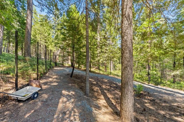 19280 Woodridge Dr, Pioneer, CA 95666