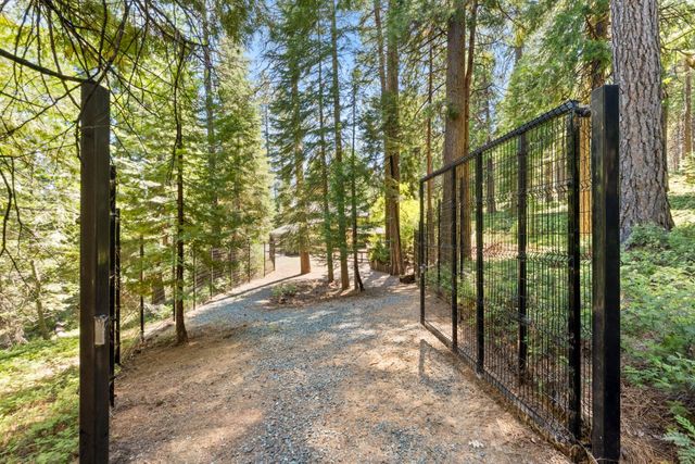 19280 Woodridge Dr, Pioneer, CA 95666