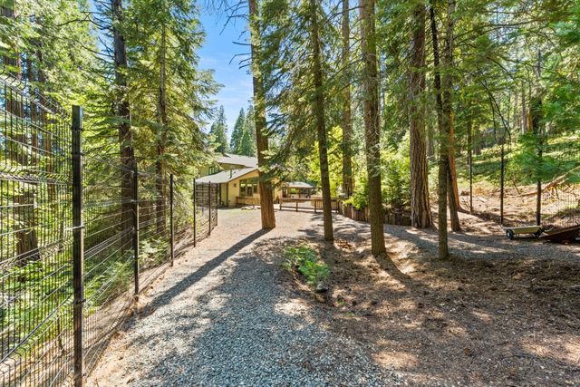 19280 Woodridge Dr, Pioneer, CA 95666