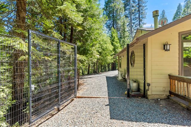 19280 Woodridge Dr, Pioneer, CA 95666