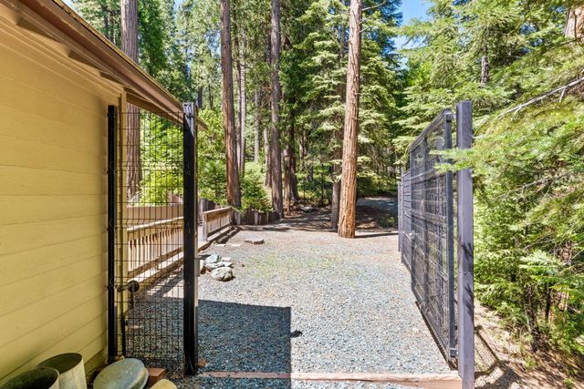 19280 Woodridge Dr, Pioneer, CA 95666