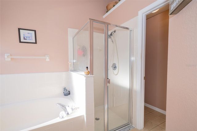 18953 WOOD SAGE DRIVE, Tampa, FL 33647