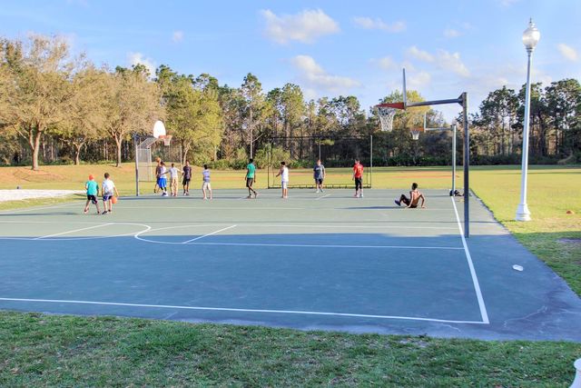 18953 WOOD SAGE DRIVE, Tampa, FL 33647