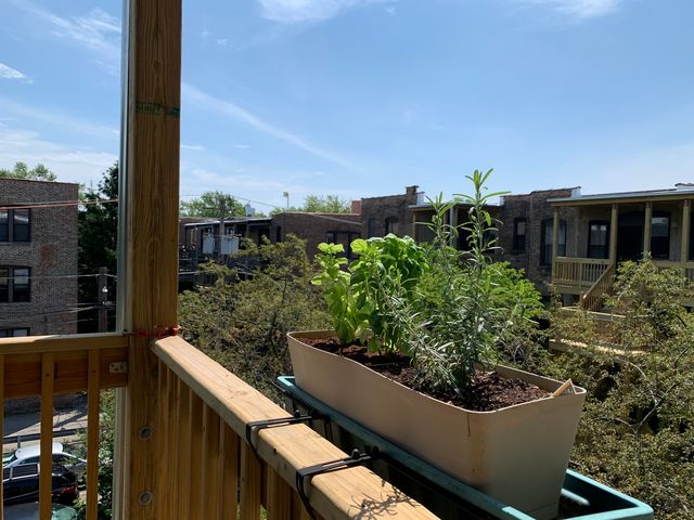 5339 S Ellis Avenue D3, Chicago, IL 60615