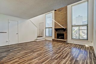 13948 Hollowgreen Drive 25, Houston, TX 77082