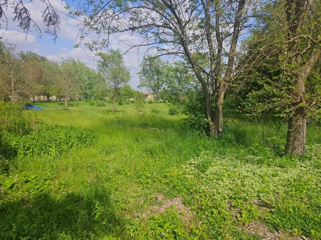 24232 S Kings Road, Crete, IL 60417