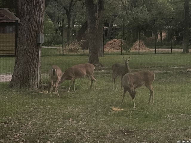 19214 Grey Forest, Helotes, TX 78023