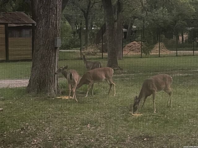 19214 Grey Forest, Helotes, TX 78023