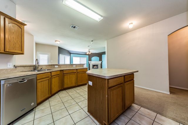 9924 Wild Ginger Drive, Mckinney, TX 75072