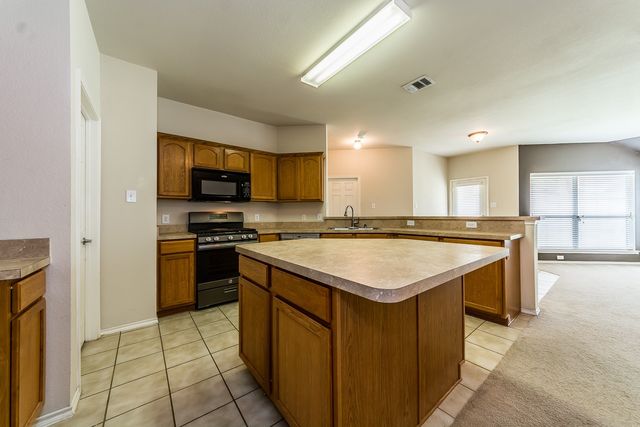 9924 Wild Ginger Drive, Mckinney, TX 75072