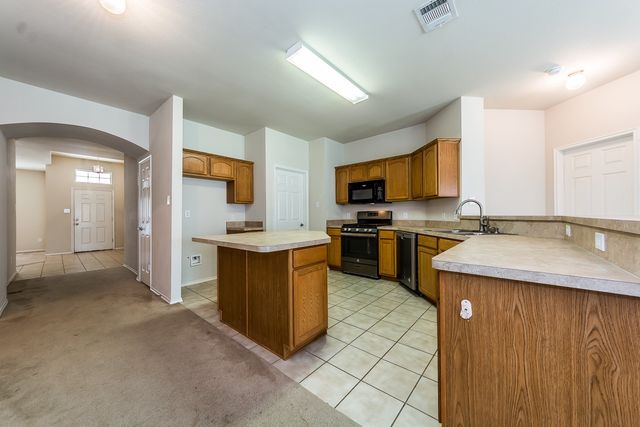 9924 Wild Ginger Drive, Mckinney, TX 75072