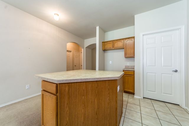 9924 Wild Ginger Drive, Mckinney, TX 75072