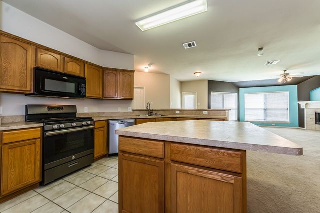 9924 Wild Ginger Drive, Mckinney, TX 75072