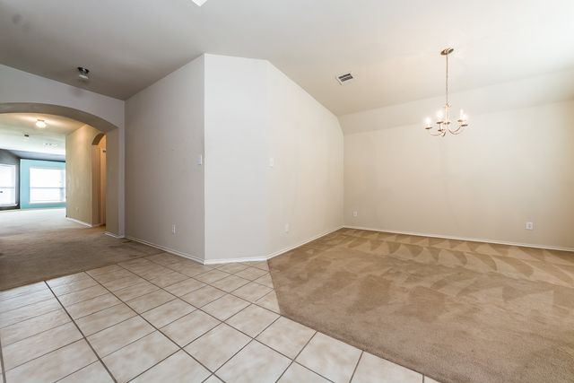 9924 Wild Ginger Drive, Mckinney, TX 75072