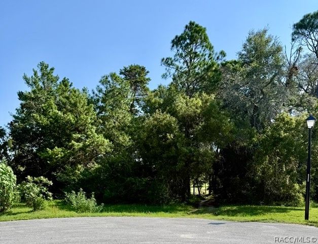 15 Quailwood Path, Homosassa, FL 34446
