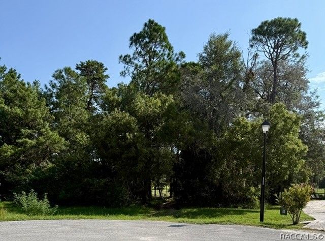 15 Quailwood Path, Homosassa, FL 34446