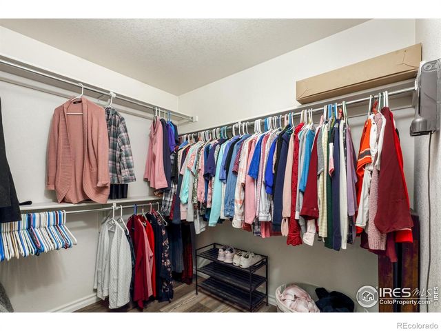 5430 Bobcat Street, Frederick, CO 80504