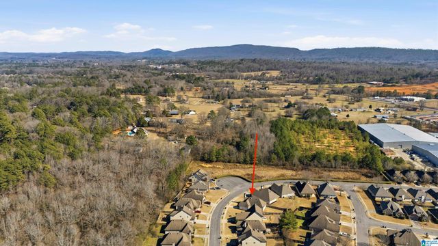 1171 WASHINGTON DRIVE, Moody, AL 35004