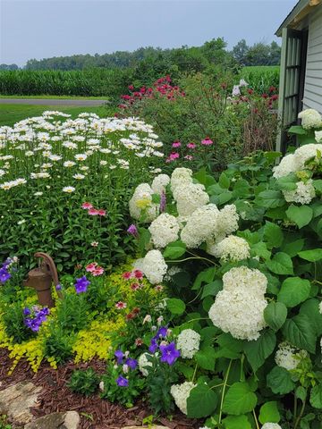 6475 Olive Branch Road, Galien, MI 49113