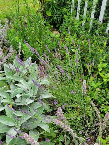 6475 Olive Branch Road, Galien, MI 49113