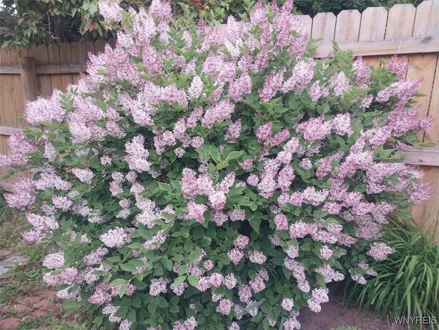 10 Rebecca Park, Buffalo, NY 14207