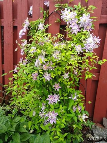 10 Rebecca Park, Buffalo, NY 14207