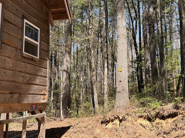 306 Jacks River Road, Blue Ridge, GA 30513