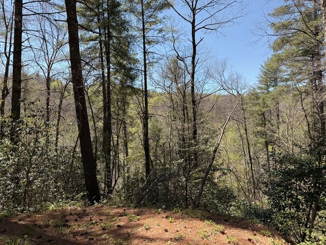 306 Jacks River Road, Blue Ridge, GA 30513