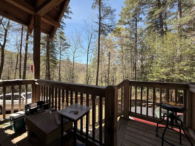 306 Jacks River Road, Blue Ridge, GA 30513
