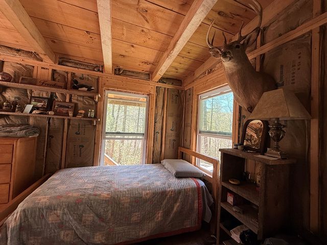 306 Jacks River Road, Blue Ridge, GA 30513