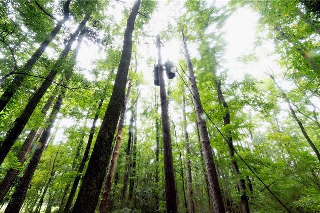 4669 Huntsman Bend, Decatur, GA 30034