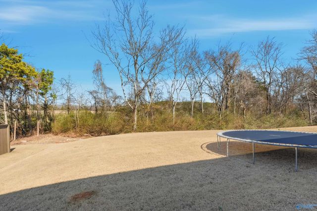 315 Creek Grove Avenue, New Market, AL 35761