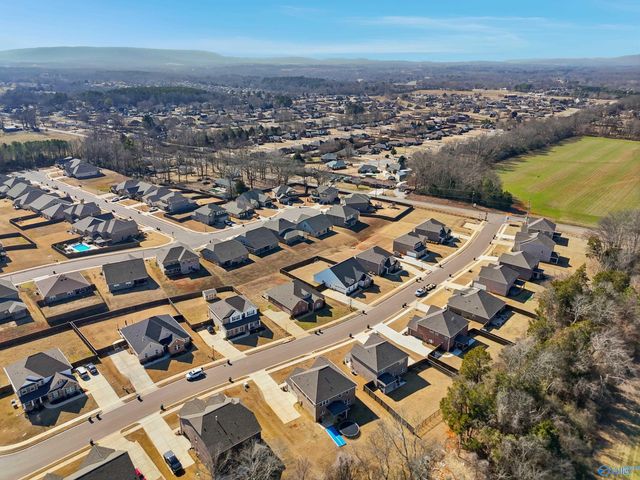 315 Creek Grove Avenue, New Market, AL 35761