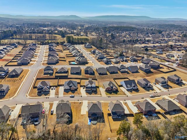 315 Creek Grove Avenue, New Market, AL 35761