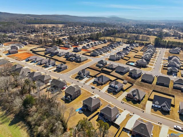 315 Creek Grove Avenue, New Market, AL 35761