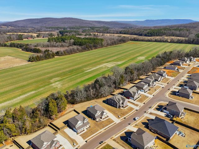 315 Creek Grove Avenue, New Market, AL 35761