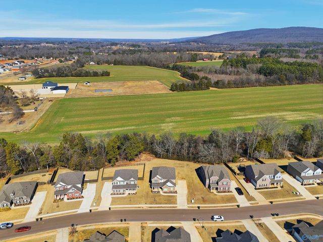 315 Creek Grove Avenue, New Market, AL 35761