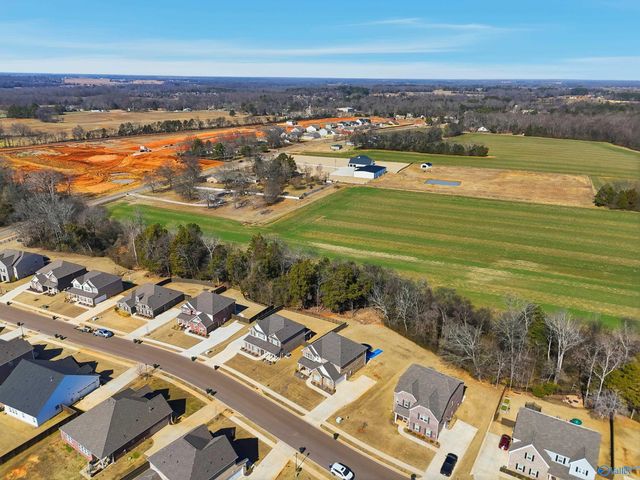 315 Creek Grove Avenue, New Market, AL 35761