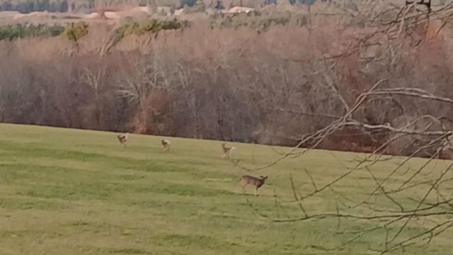 63 Glebas Road, Plainfield, CT 06374