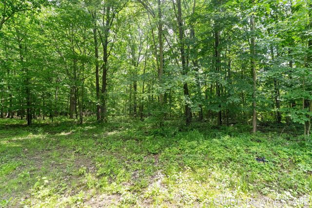 5218 Fillmore Street, Allendale, MI 49401