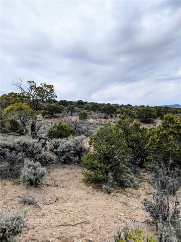 Lot 3589 Freylinghuysen Road, Fort Garland, CO 81133