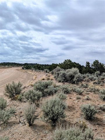 Lot 3589 Freylinghuysen Road, Fort Garland, CO 81133