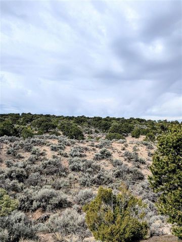 Lot 3589 Freylinghuysen Road, Fort Garland, CO 81133