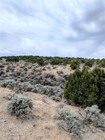Lot 3589 Freylinghuysen Road, Fort Garland, CO 81133