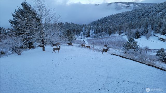 2612 Halvorson Canyon Road, Wenatchee, WA 98801