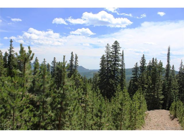 630 FS 417.1, Black Hawk, CO 80422
