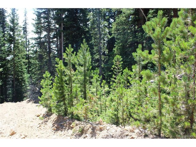 630 FS 417.1, Black Hawk, CO 80422